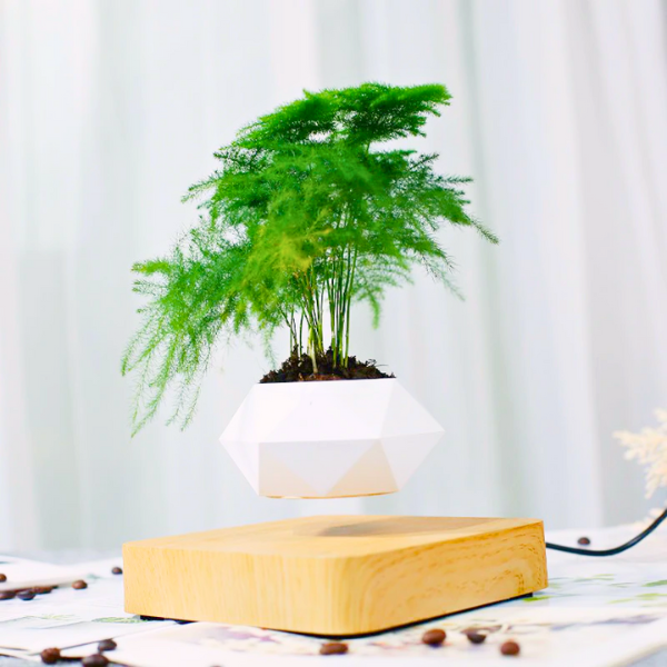 LeviZen™- Levitating Decorative Plant Stand