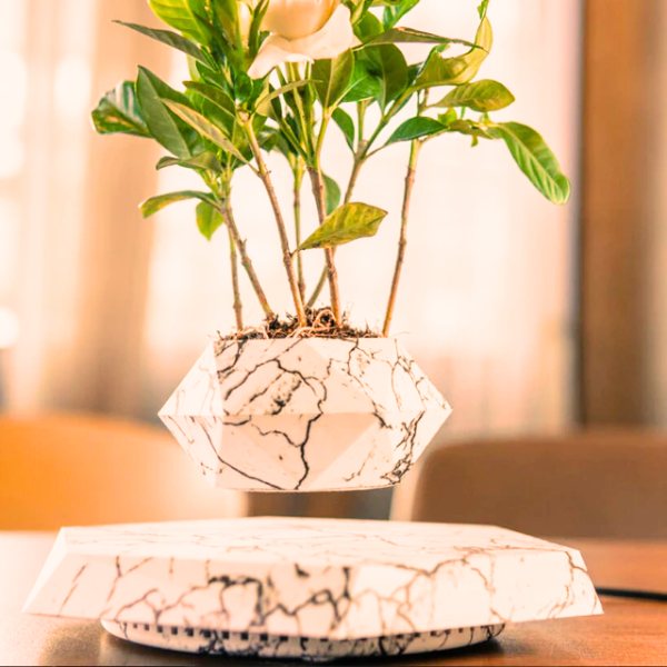 LeviZen™- Levitating Decorative Plant Stand