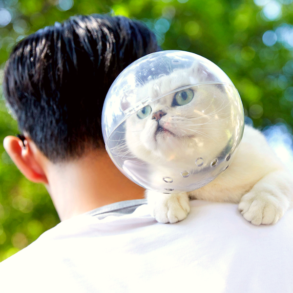 Catono™- Anti Bite Cat Mask