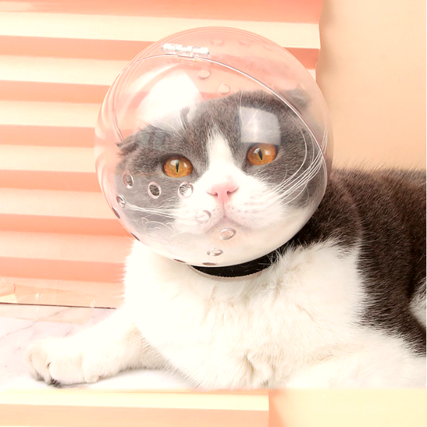 Catono™- Anti Bite Cat Mask