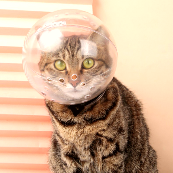 Catono™- Anti Bite Cat Mask