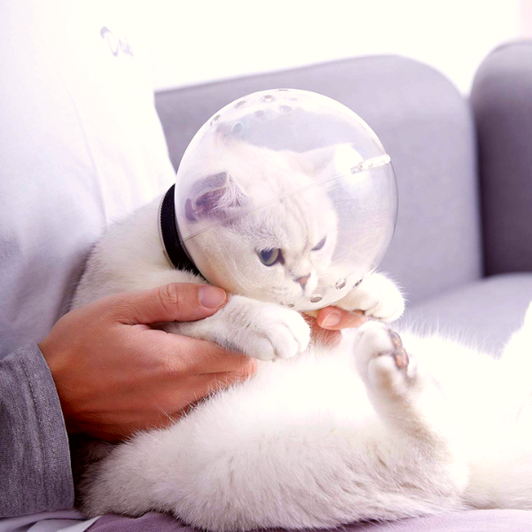 Catono™- Anti Bite Cat Mask