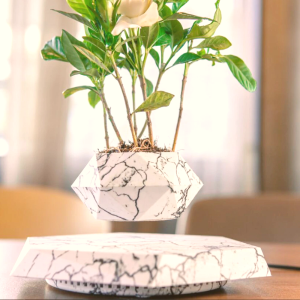 LeviZen™- Levitating Decorative Plant Stand