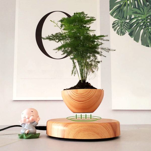LeviZen™- Levitating Decorative Plant Stand