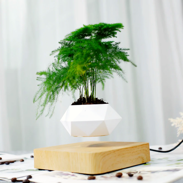 LeviZen™- Levitating Decorative Plant Stand