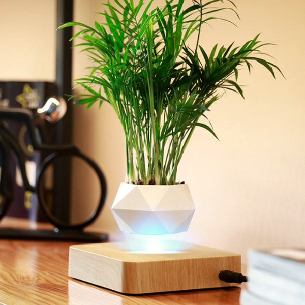 LeviZen™- Levitating Decorative Plant Stand